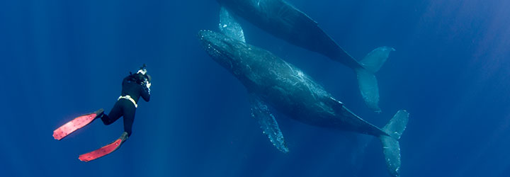 Gallery in Cabo San Lucas