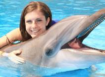 Swim with dolphins at Cabo Dolphins Swim with dolphins at Cabo Dolphins