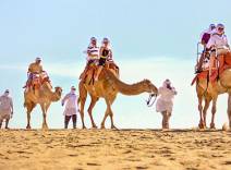 Outback & Camel Safari by Cabo Adventures